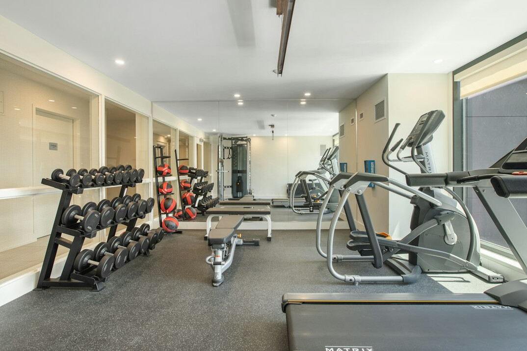 Bright modern gym with dumbbells and weights